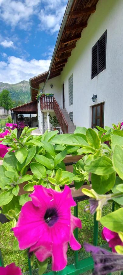 Apartma Pr' Ivani Miskorinovi Breginj Exterior foto